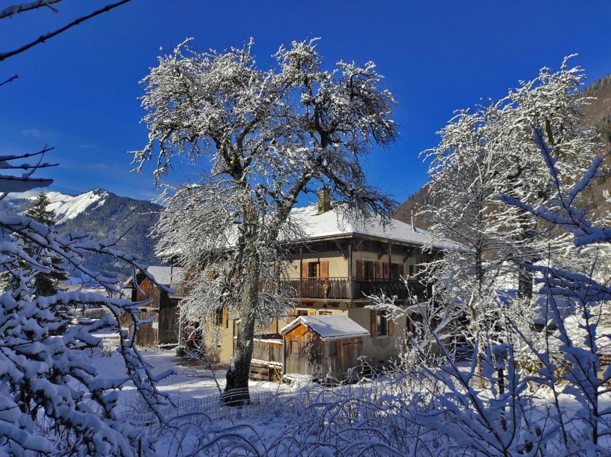 Appartement 6 Pers 70 M² Dans Chalet Chez Marie Montriond Exterior foto